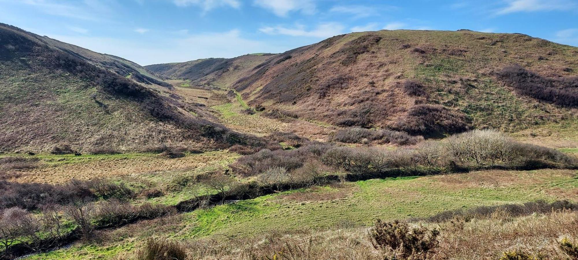 Self Contained Countryside Holsworthy